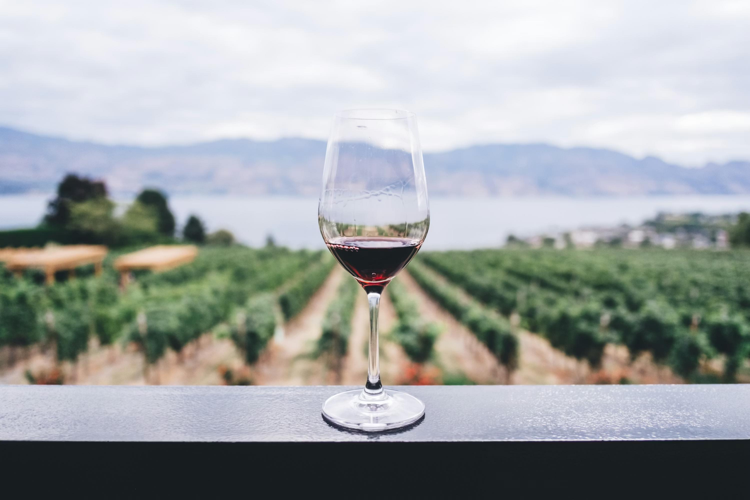 Rota dos vinhos em Santiago: melhores vinícolas para incluir no roteiro